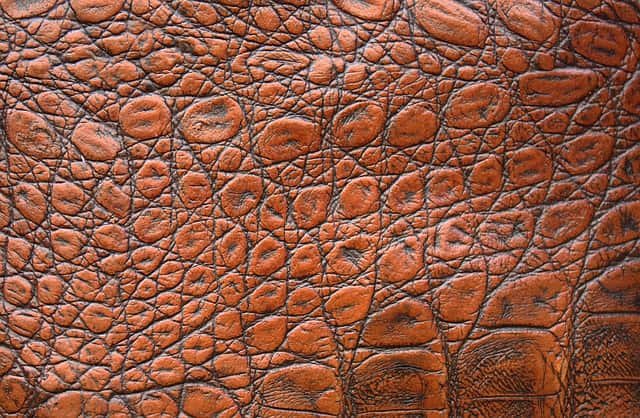 DGFT eases export norms for leather products to increase trade