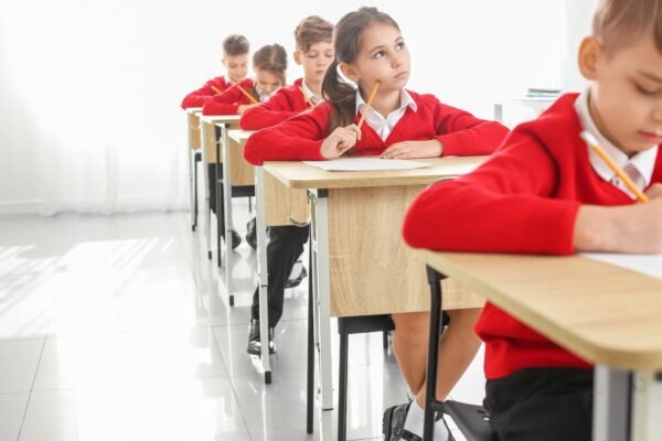 How Expert Teachers Process Student Behaviour