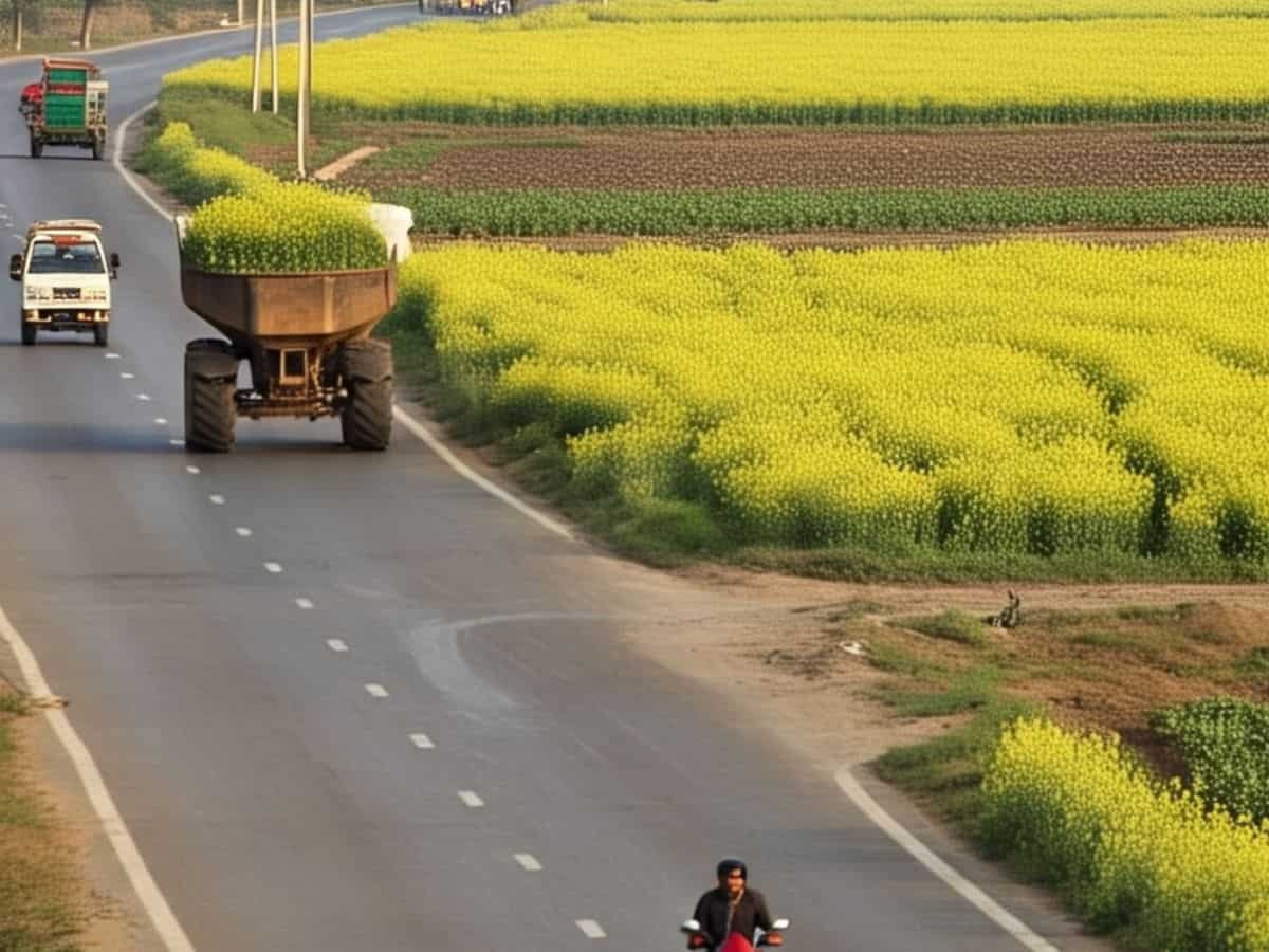 India GDP growth at one-year high of 7.4% in Q4, FY25 expansion at 6.5%