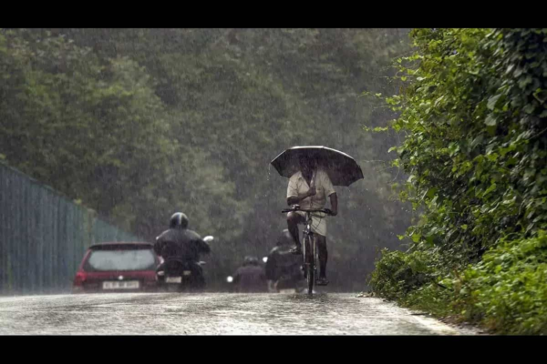 Kerala Rains: Gusty winds, heavy showers disrupt life; trains delayed, red alert issued, IMD warns of more rain till June 1