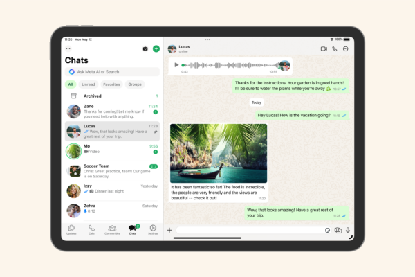 WhatsApp on iPad: iOS compatibility requirement, 32-people group call connectivity, other key things fans must know — How to start using it