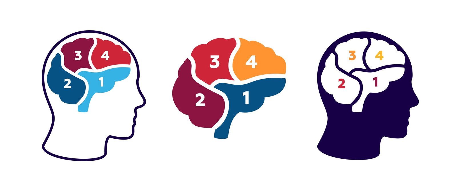 Why Learning Styles Doesn’t Work!