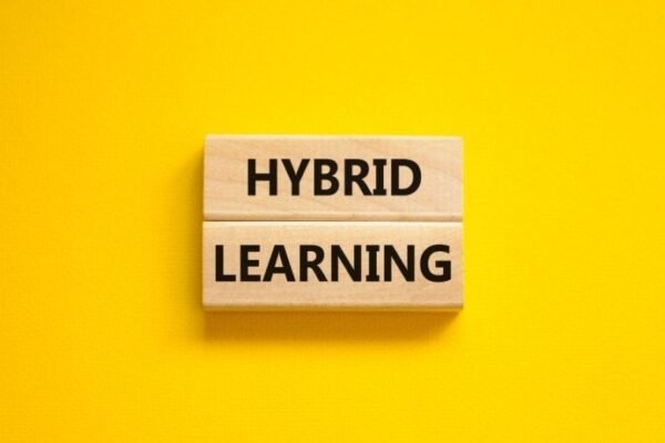 Why Lifelong Learning Platforms Matter