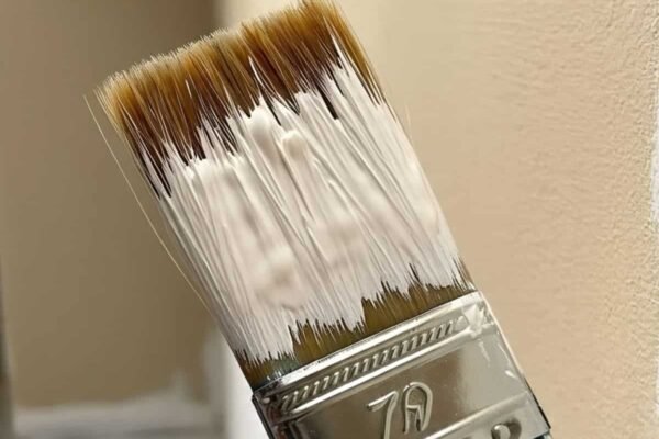 Grasim’s Birla Opus Paints takes Asian Paints to CCI over alleged abuse of market dominance