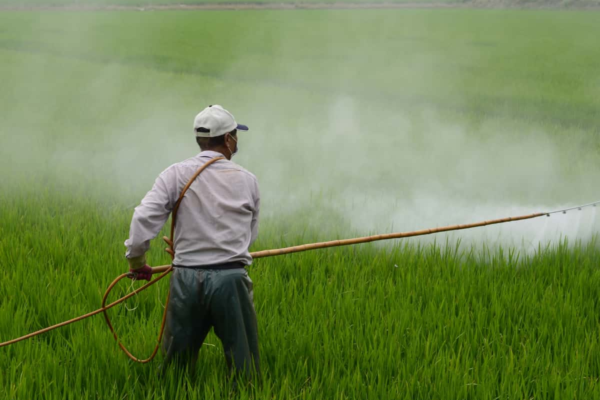 India’s agrochemical exports set for moderate rebound in FY25: Rubix report