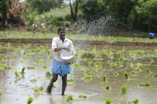 PM-KISAN 20th instalment coming soon? Here’s what farmers must do first