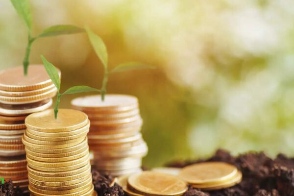 Parag Parikh Flexi Cap Fund, Quant Small Cap Fund among 17 mutual funds which deliver over 20% XIRR on SIP investments in 10 years