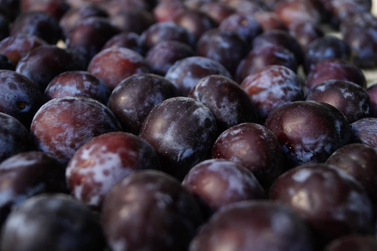 Rs 50-60/kg in India, Rs 110/kg abroad? India’s first ever fresh black plum (jamun) consignment heads to London!