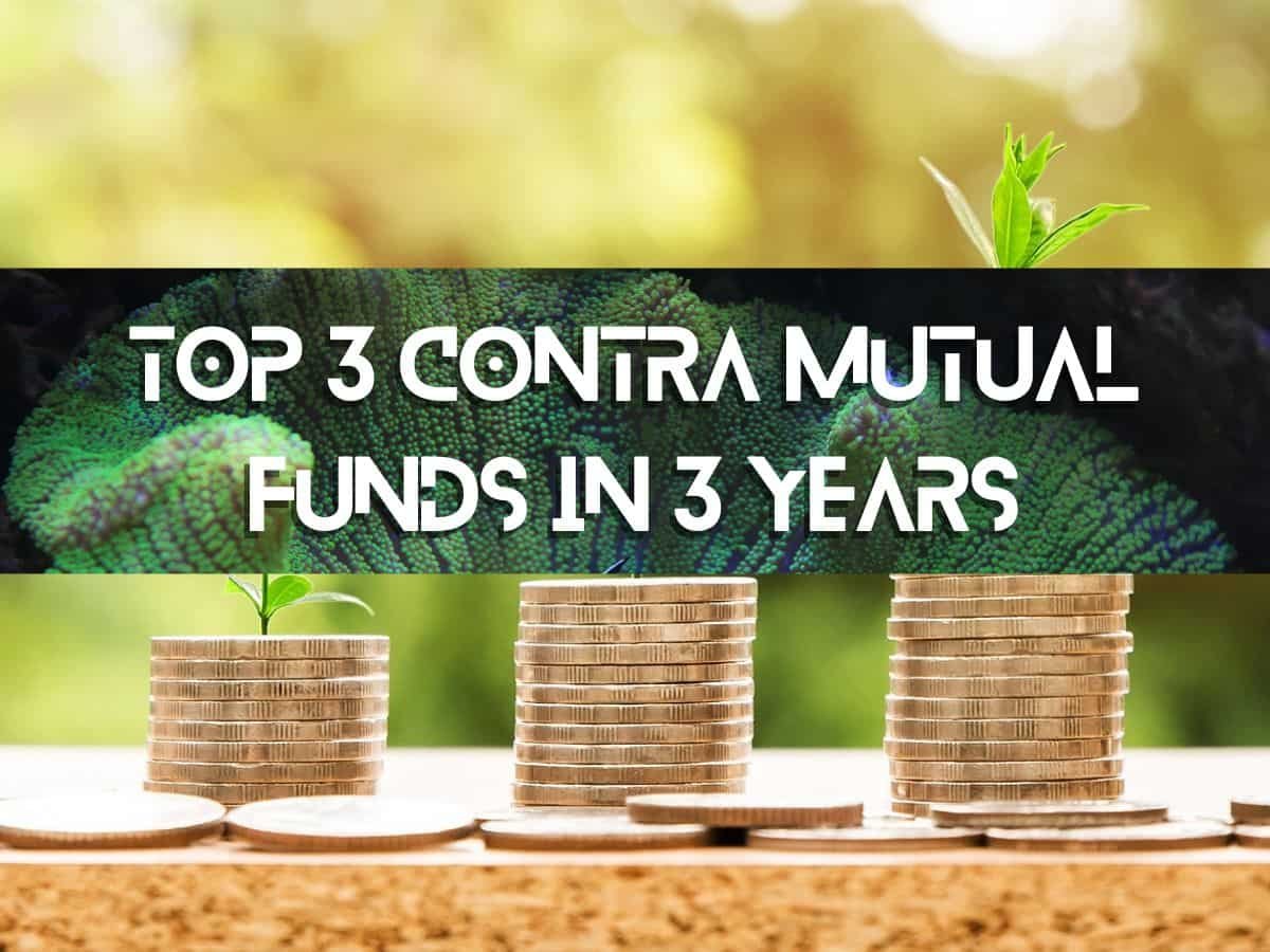 Top 3 Contra Funds With Highest Returns in 3 Years: Rs 2,99,999 investment in No. 1 fund has jumped to Rs 6,42,508