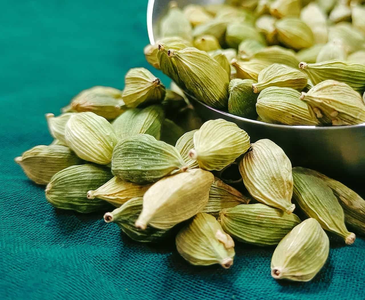Apart from aroma, How Cardamom cultivation can be a profitable for farmers