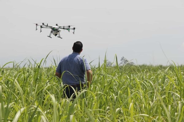 Drone Scheme: This government offers Rs 3.65 lakh subsidy, free training for farmers