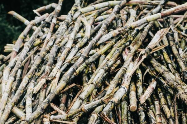 Ethanol blending in petrol to be raised to 27% as India meets target 6 years in advance: Sources