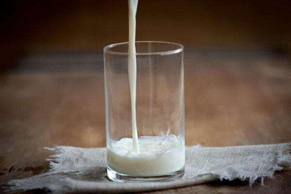 MP government’s welfare scheme offers 33% subsidy to empower farmers & boost dairy sector