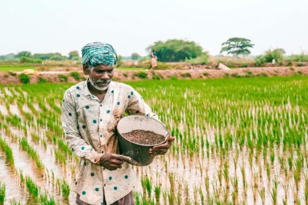 PM Kisan 20th Instalment: Beneficiary farmers should complete to these tasks to receive payment without delay, says government