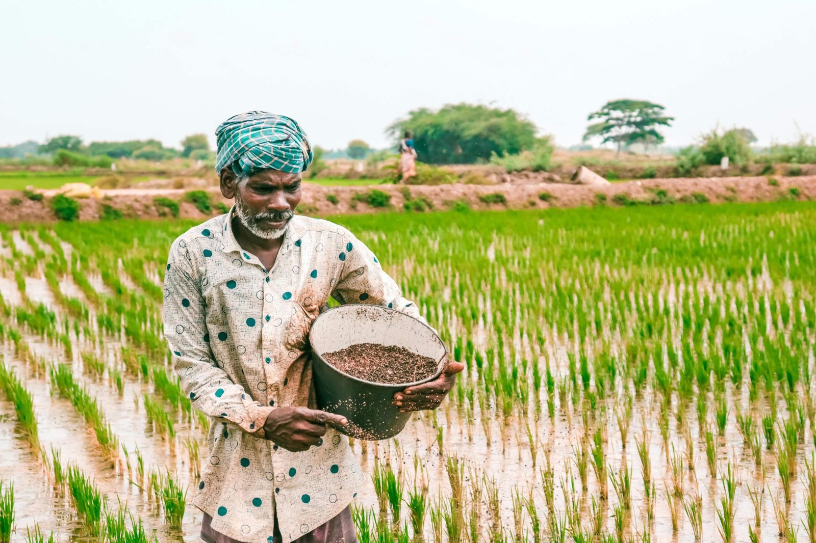 PM Kisan 20th Instalment: Beneficiary farmers should complete to these tasks to receive payment without delay, says government