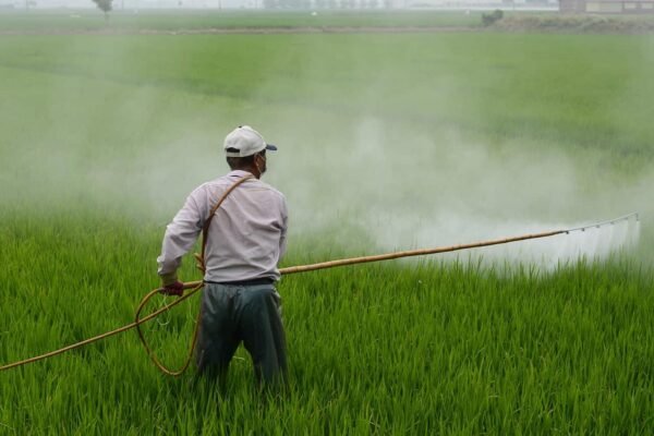 Rs 4,300 Pesticide in Just Rs 2,150: This state government offers agrochemical subsidy