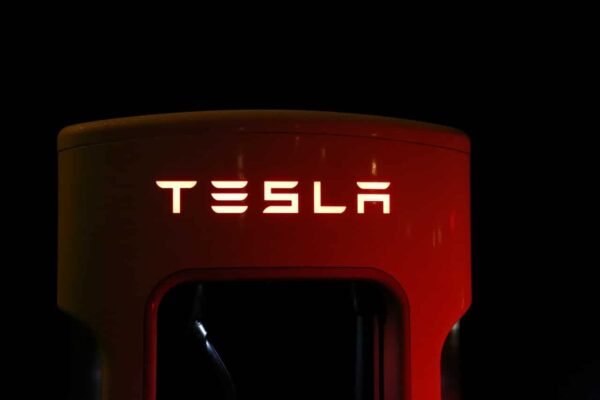 Tesla’s India entry set to transform domestic EV landscape: Experts