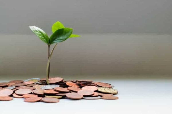 Top 6 Largecap MFs with up to 39% Return in 6 Months: No. 1 fund has turned Rs 20,000 monthly investment into Rs 1,31,527