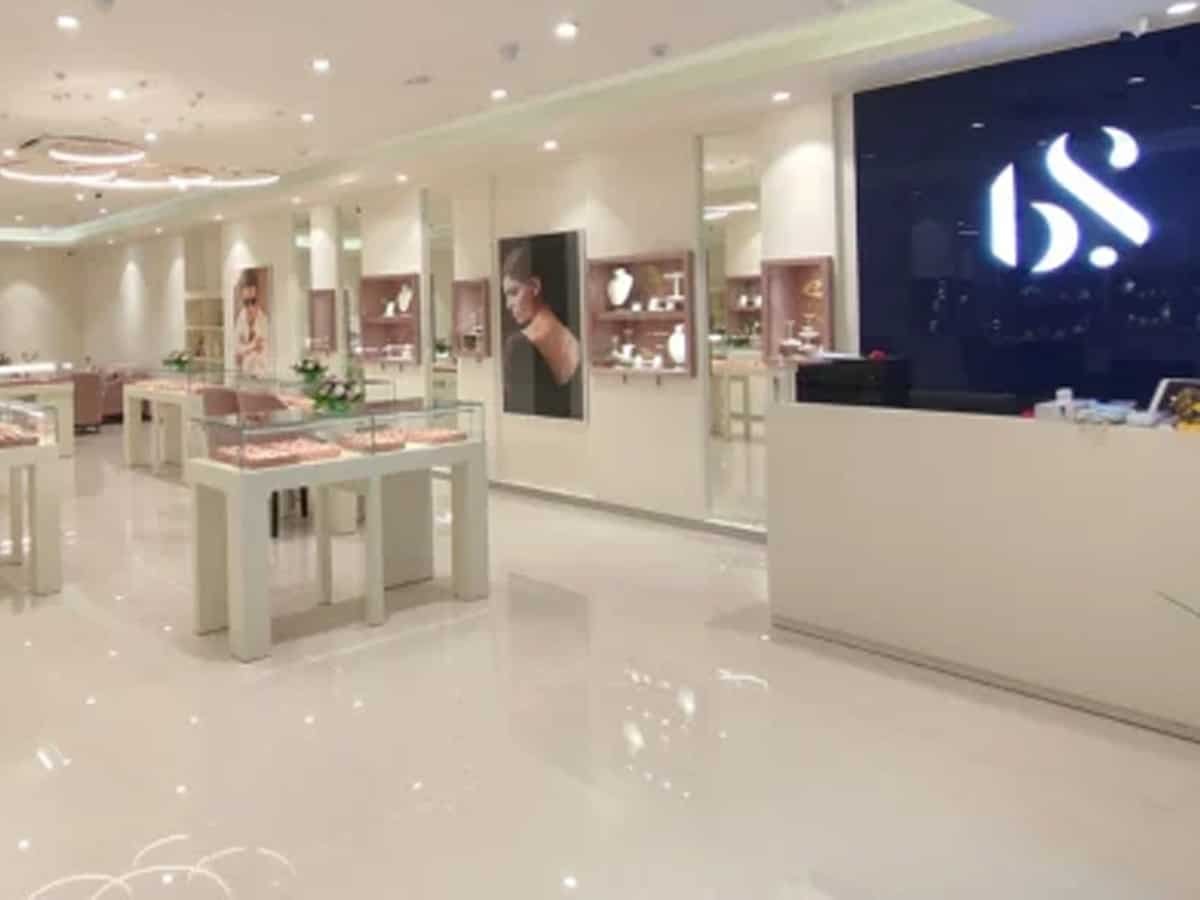 BlueStone Jewellery IPO to Open on August 11; price band, issue size, key details