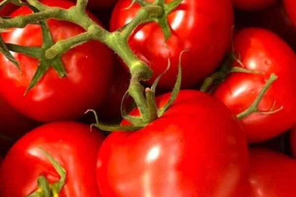 Consumer inflation eases to 8-year low of 1.55%; food deflation at 1.76%: Key takeaways