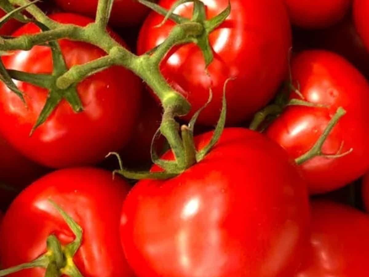 Consumer inflation eases to 8-year low of 1.55%; food deflation at 1.76%: Key takeaways