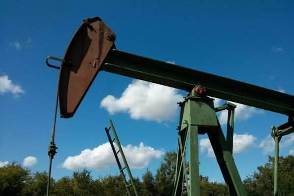 Government to offer Rs 9.9 lakh grant to FPOs, cooperatives for setting up 10-tonne oil extraction units