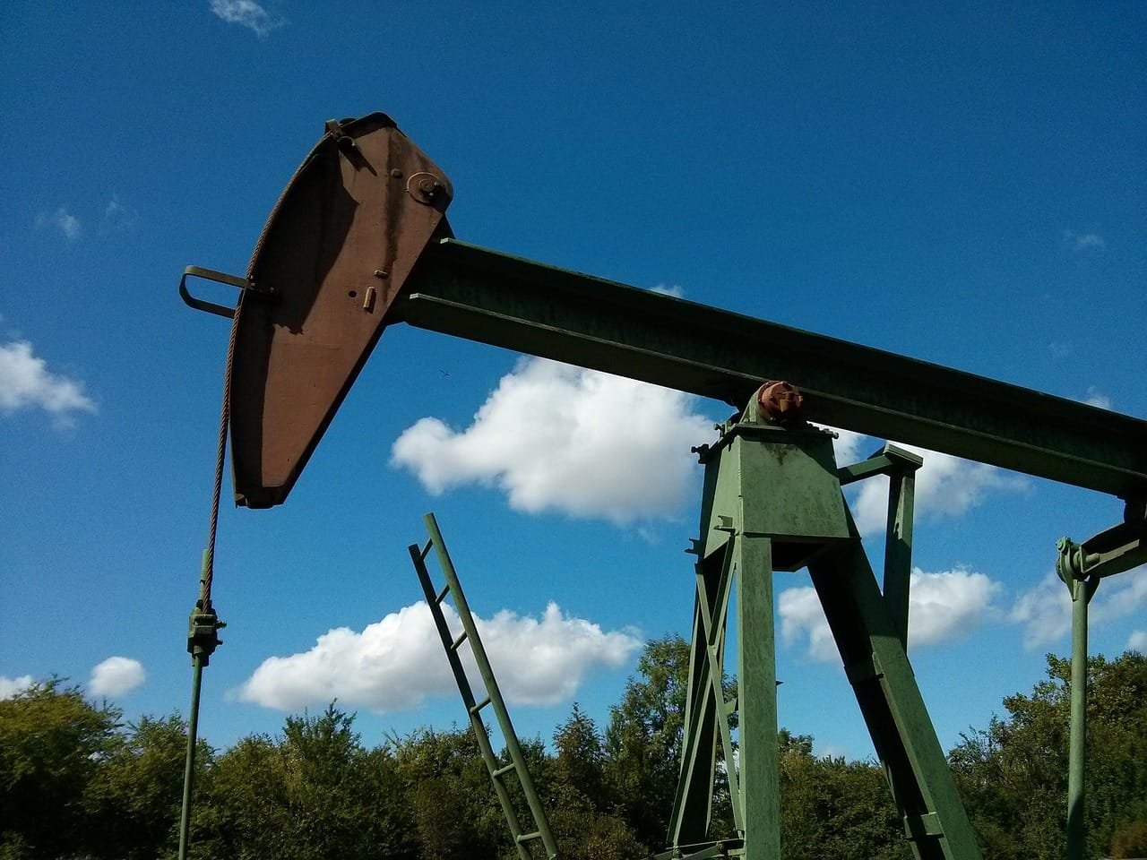 Government to offer Rs 9.9 lakh grant to FPOs, cooperatives for setting up 10-tonne oil extraction units