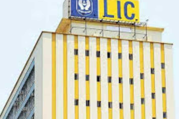 LIC Q1FY26 Results: Profit rises 4% YoY to Rs 10,957 crore; premium income also up