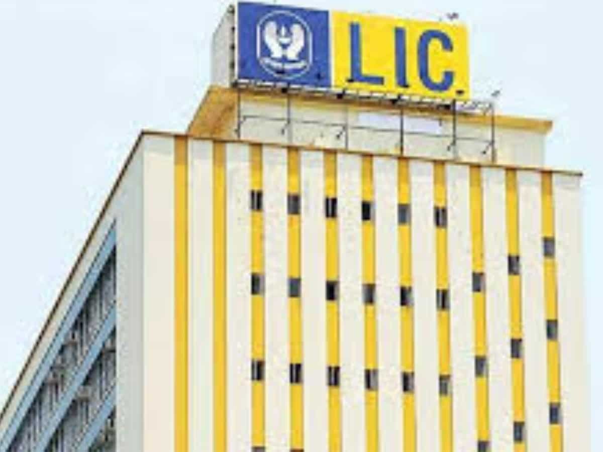 LIC Q1FY26 Results: Profit rises 4% YoY to Rs 10,957 crore; premium income also up