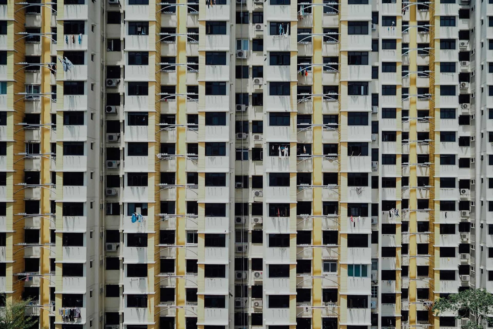 MCD SUNIYO 2025–26: One-time property tax amnesty scheme for property owners—Here’s all you need to know