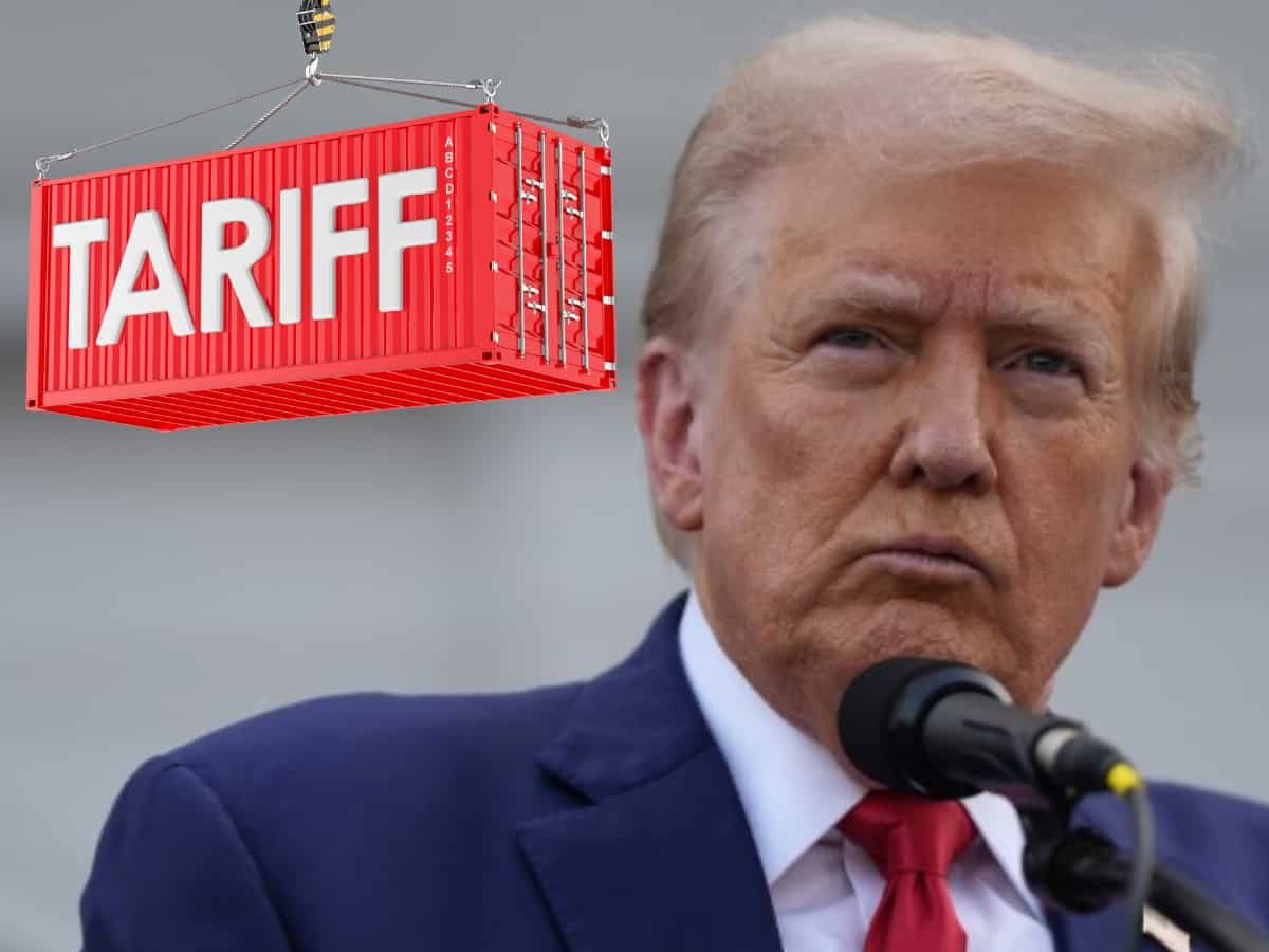 Mouse Hitting Elephant: US acting as ‘world’s tough guy’ against India is only shooting itself in…, says American economist
