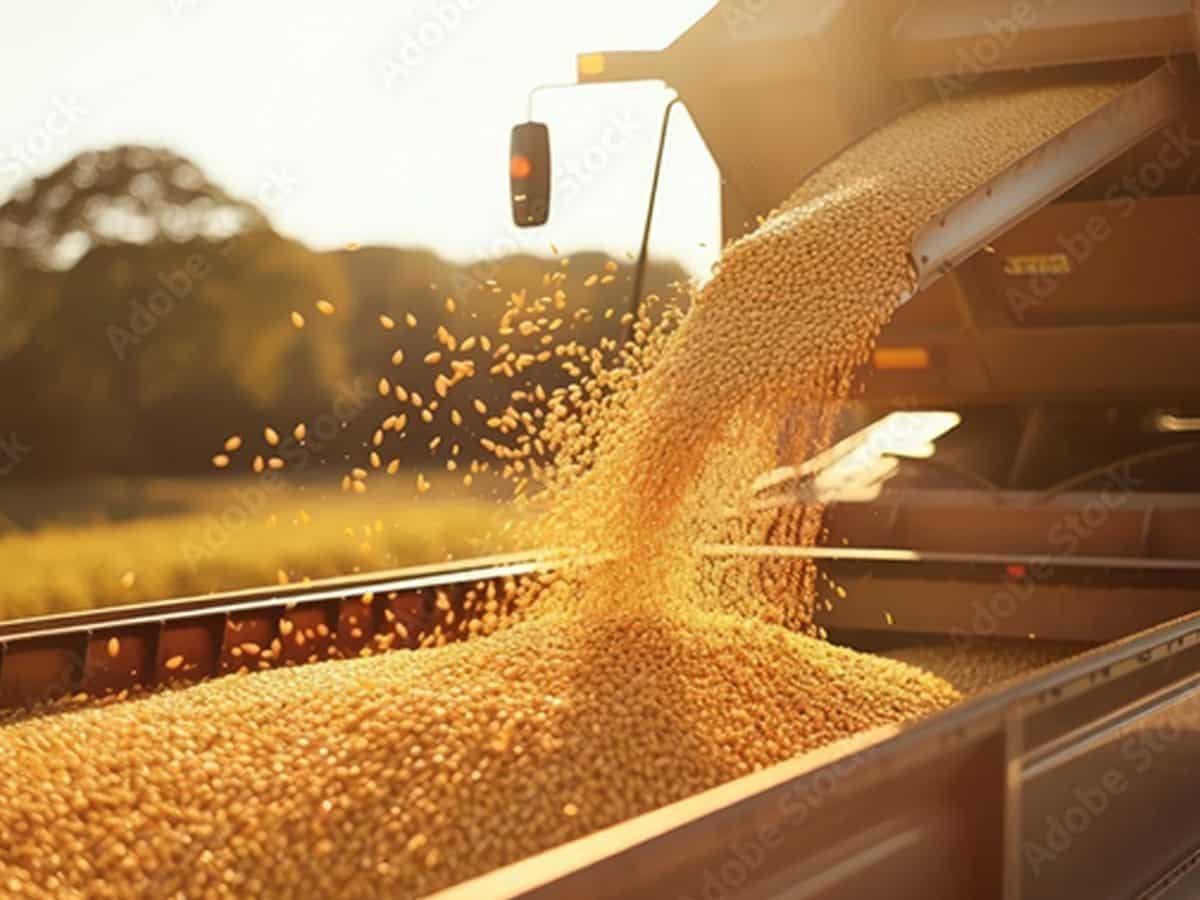 Rs 306 crore Regaal Resources IPO opens with price band of Rs 96–102