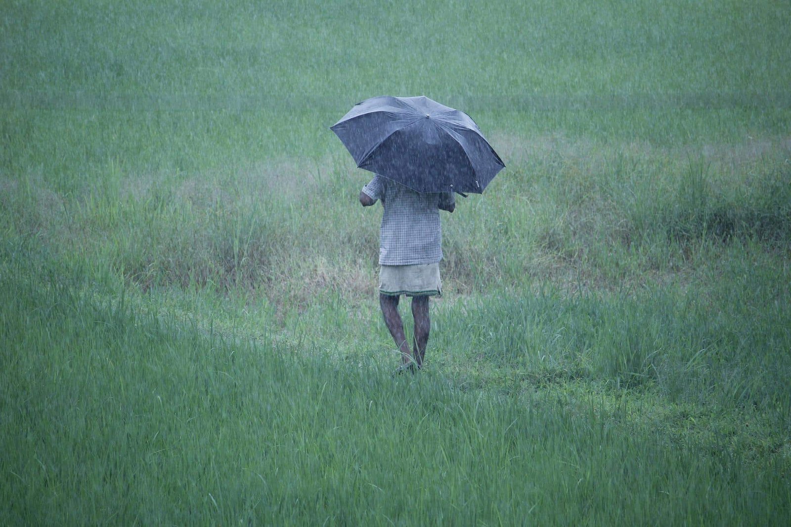 Weather department forecasts week-long rain in Bengal