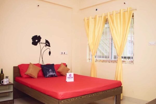 Co-living startup Colive raises  million funding led by Bain Capital