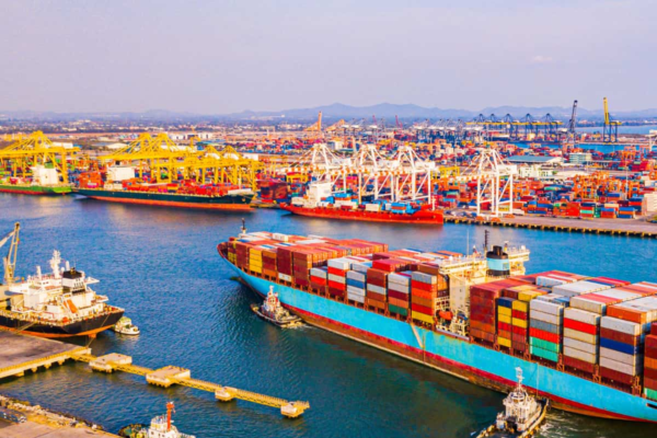 India aims to double seafood exports to  billion by 2030