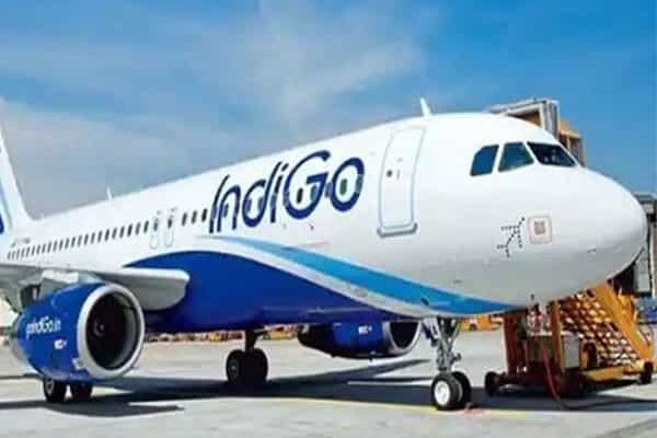Kolkata-bound IndiGo plane forced to return to Nagpur after bird strike