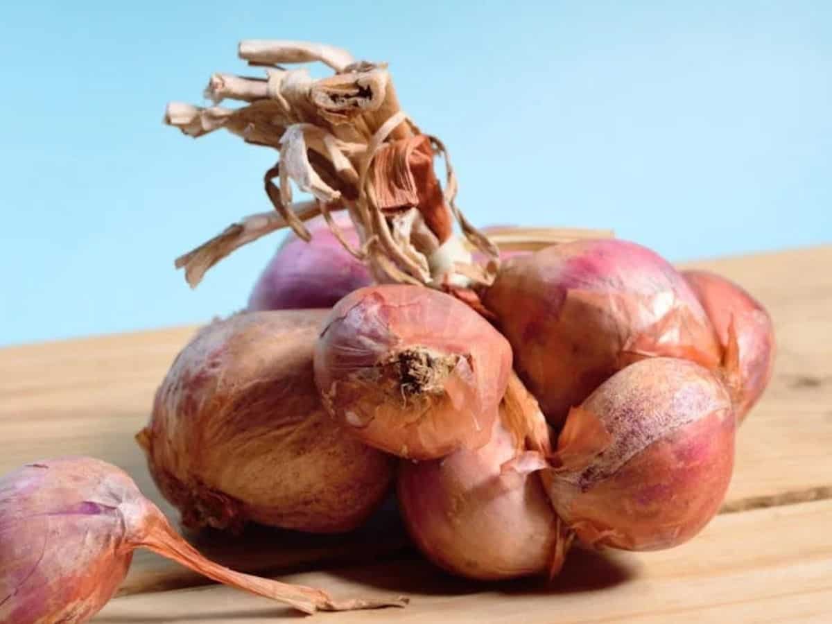 Onions at just Rs 25/kg? Subsidised supplies in this city soon—5 key takeaways