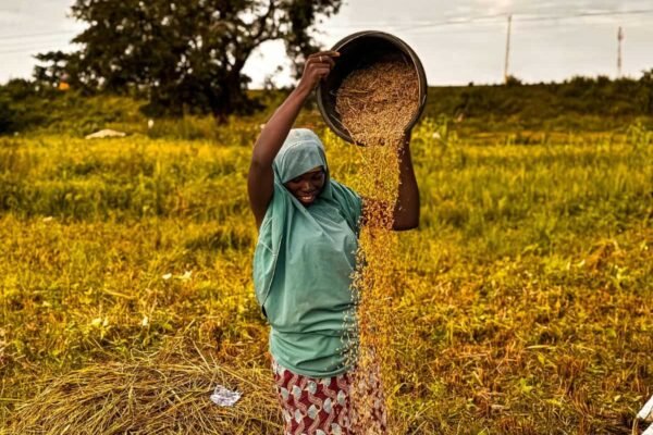 PM Kisan Yojana 21st Instalment: These farmers will not get Rs 2,000