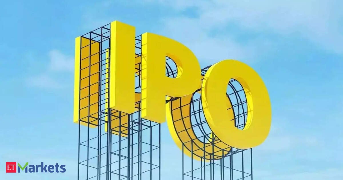 Akasa Air will look at IPO in next 2-5 years, says CEO Vinay Dube