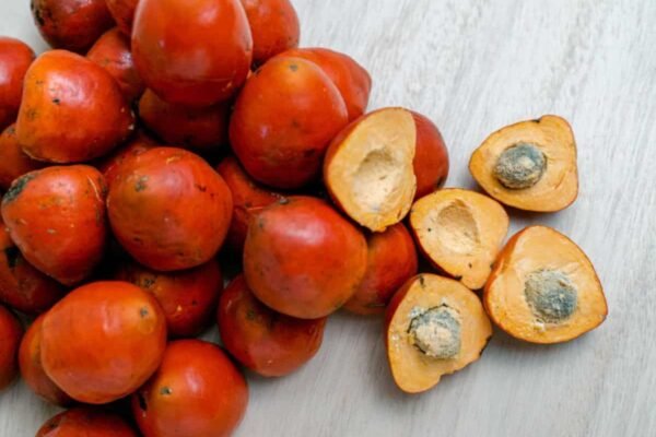 India bans Areca Nut import below Rs 351/kg