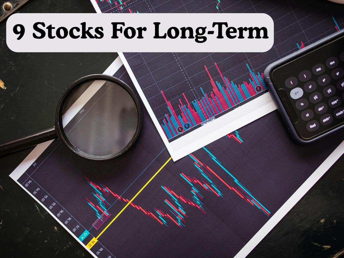 Navratri Special: 9 gems of long-term stock picks for your portfolio; experts share targets & rationales