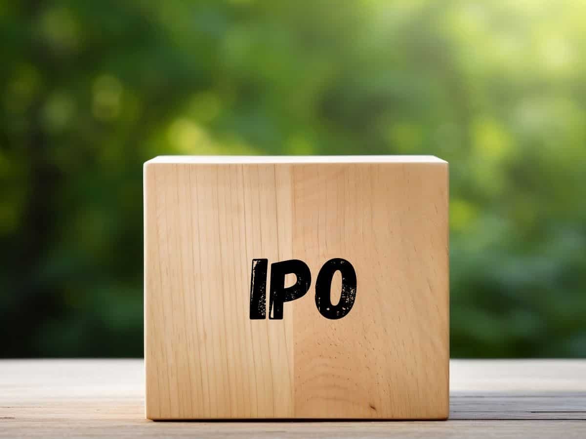 Pace Digitek IPO: Check your allotment status online with these easy steps
