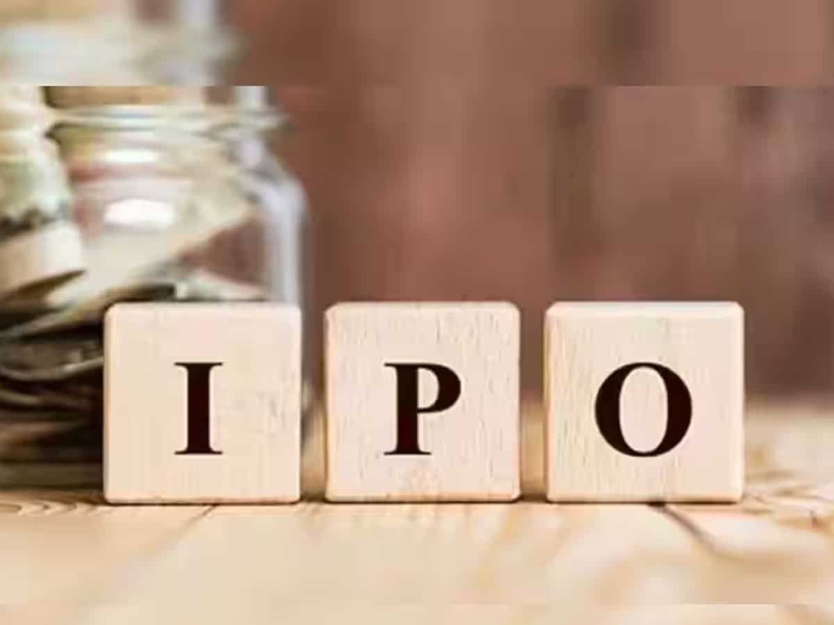 Rubicon Research IPO Final Day: Issue sees 13.4x subscription driven by strong retail and NII demand; Check other key updates so far