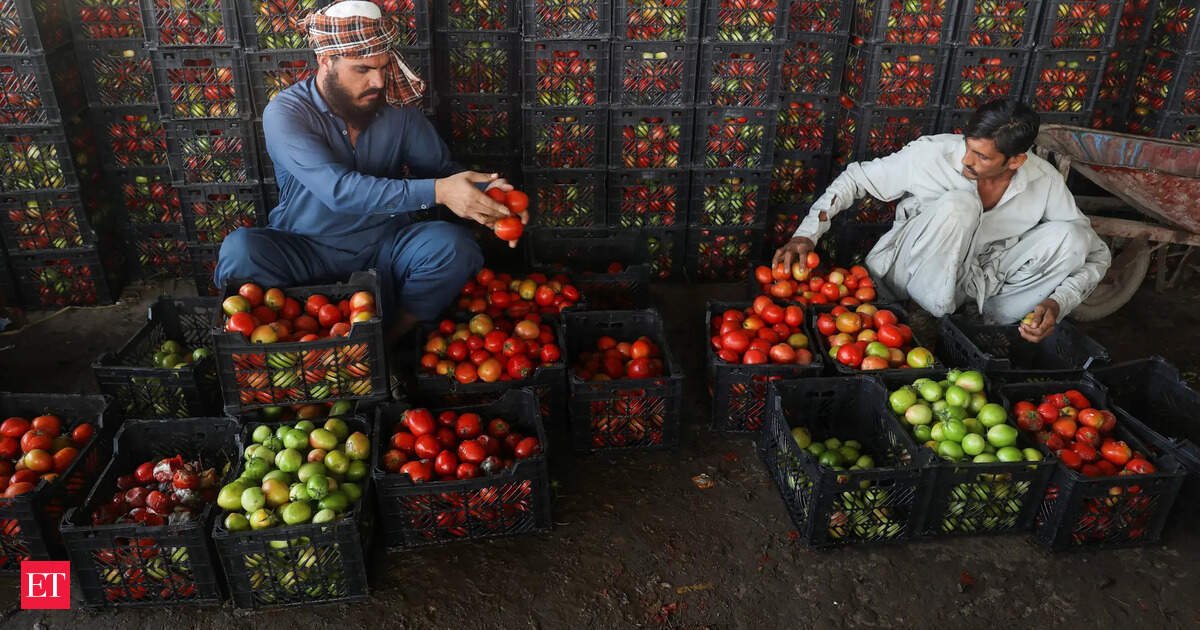 Tomatoes Rs 600 per kg, capsicum Rs 300: Pakistanis are paying a heavy price after conflict with Afghanistan