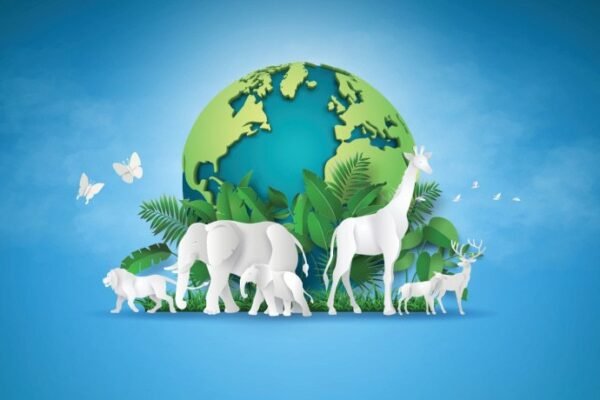 World Animal Day 2025: 4 Ways Companies Can Honor Animals Year-Round