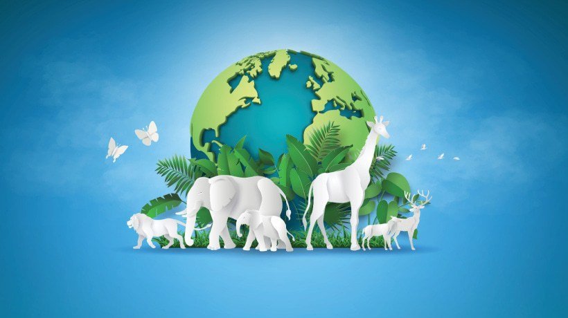 World Animal Day 2025: 4 Ways Companies Can Honor Animals Year-Round