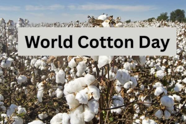 World Cotton Day 2025: Farmers urge buying Cotton from government over private companies