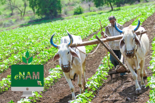e-NAM Platform Expanded: 09 new commodities added to boost India’s largest digital agri-trade platform