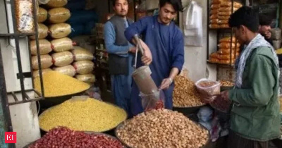 Afghanistan seeks new trade routes as Pakistan ties sour