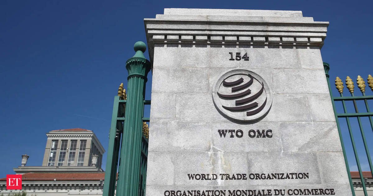 Tariffs on copper are not safeguard measures: US on India’s claim in WTO